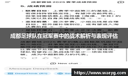 成都足球队在冠军赛中的战术解析与表现评估