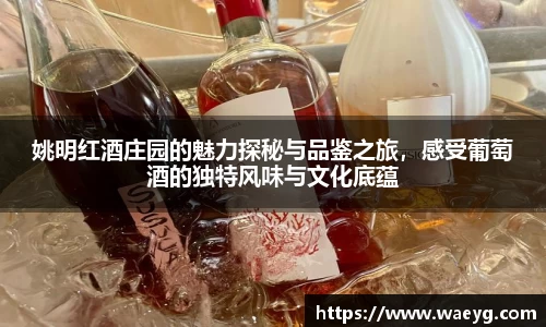 姚明红酒庄园的魅力探秘与品鉴之旅，感受葡萄酒的独特风味与文化底蕴