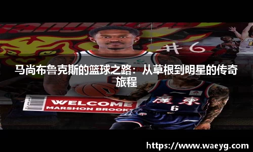 庄闲官网